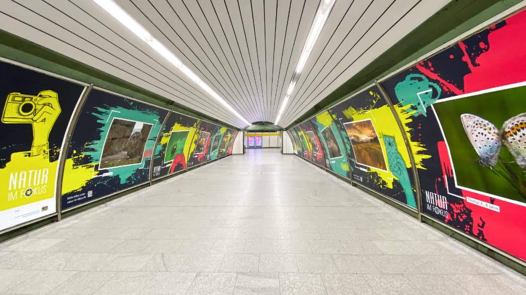 Jugendkommunikation: Bunte Großflächenplakate animieren zum Mitmachen Bunte Großflächenplakate animieren Jugendliche zum Mitmachen beim Fotowettbewerb “Natur im Fokus”. Die bunten Plakate sind Teil einer Kommunikationskampagne der brandarena für den Kunden Bayerisches Staatsministerium für Umwelt und Verbraucherschutz.