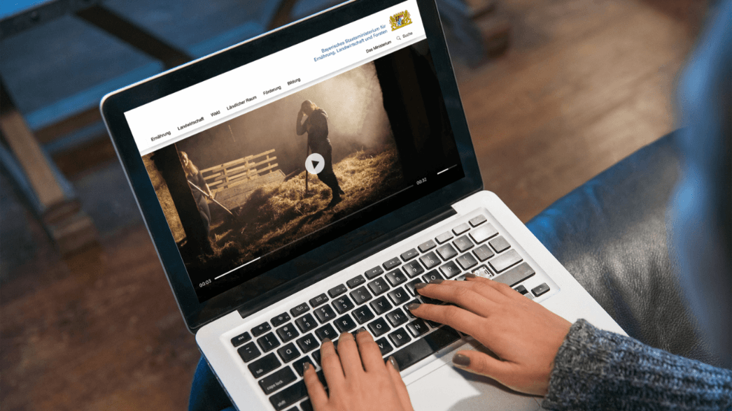 brandarena brandarena